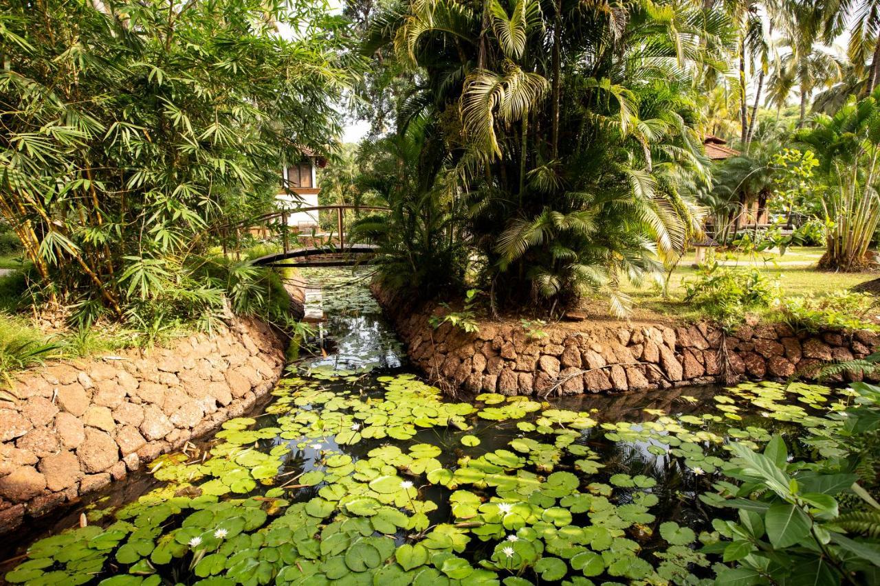 Coconut Creek Resort - Dabolim Airport Mormugao Dış mekan fotoğraf