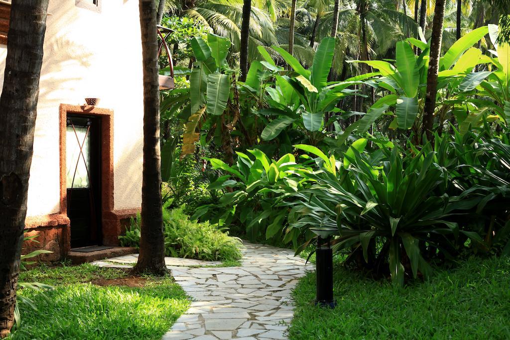 Coconut Creek Resort - Dabolim Airport Mormugao Dış mekan fotoğraf